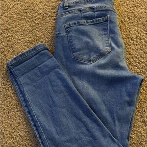 Sandpiper Blue Skinny Jeans